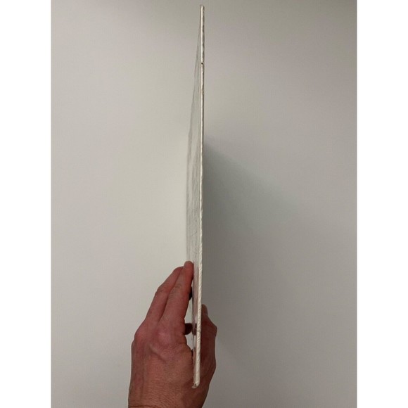 Trenzas De Oro Los Dos Palomos LP Shrink Azteca Records AM 8021 MONO VG+ - Picture 2 of 6